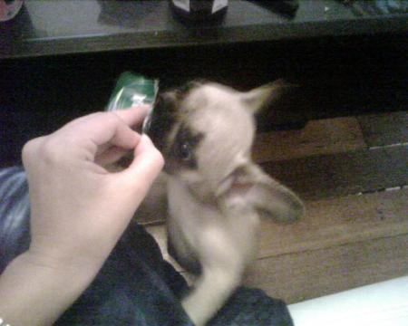 miam