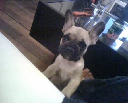 maieuhh vx monter!!!